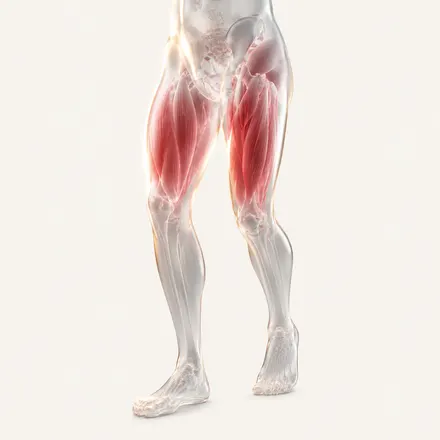 Muscle Weakness & Mobility Limitations